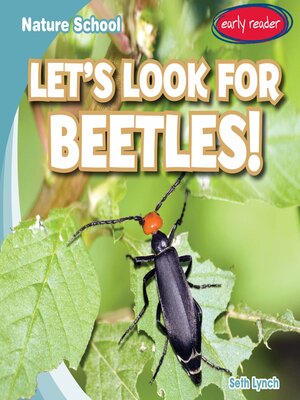 cover image of Let's Look for Beetles!